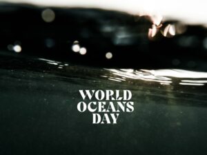 https://dev.soulandsurf.com/wp-content/uploads/2021/01/World-Oceans-Day-–-Taking-Action-1-300x225.jpg
